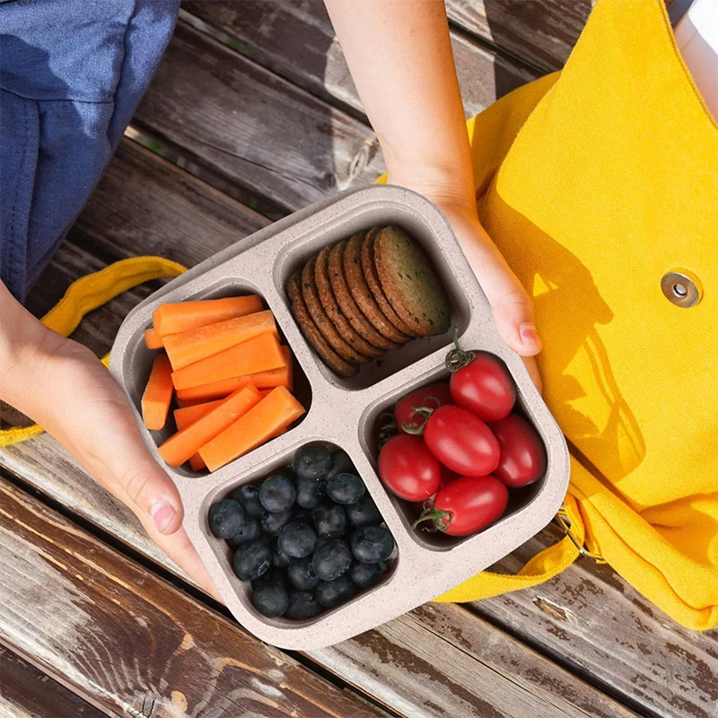 4 Grids Food Storage Box Porta - Food Storage Time recension och pris