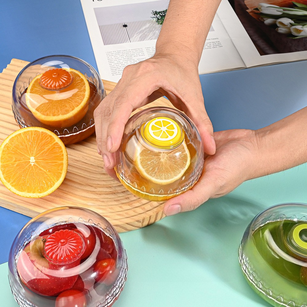 Vegetable Fruits Airtight Cris - Food Storage Time recension och pris